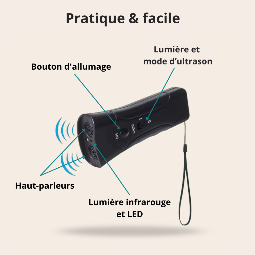 Fini les Aboiements Incessants – La Solution Douce et Immédiate pour Calmer Votre Chien