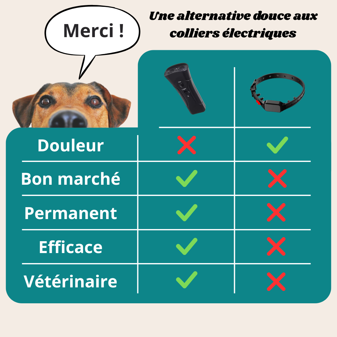 Fini les Aboiements Incessants – La Solution Douce et Immédiate pour Calmer Votre Chien