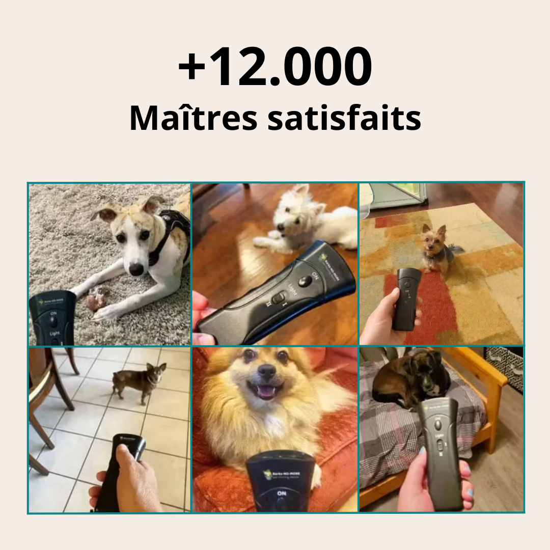 Fini les Aboiements Incessants – La Solution Douce et Immédiate pour Calmer Votre Chien