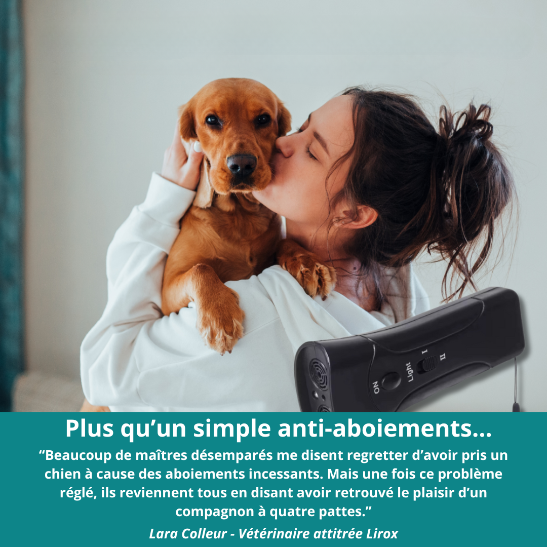 Fini les Aboiements Incessants – La Solution Douce et Immédiate pour Calmer Votre Chien