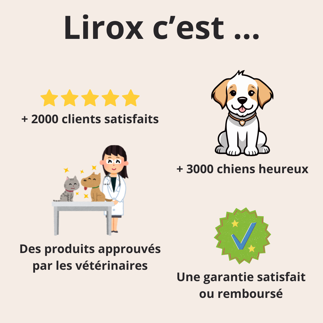 Fini les Aboiements Incessants – La Solution Douce et Immédiate pour Calmer Votre Chien