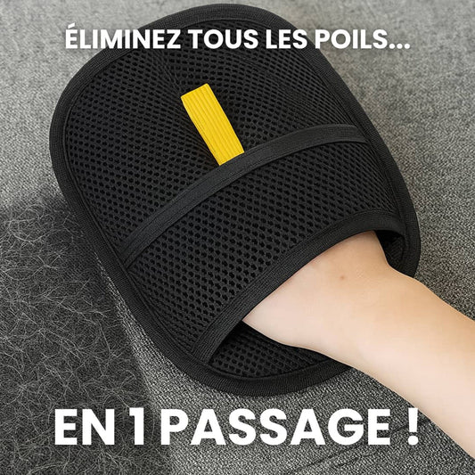 PetScratch™- Rapide et facile pour une maison sans poils