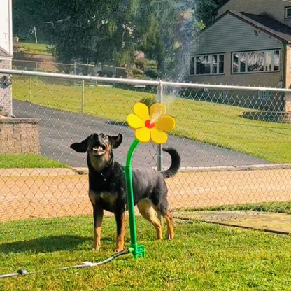 Elle va rendre ton chien fou de joie (et toi, mort de rire) !
