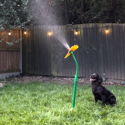 Elle va rendre ton chien fou de joie (et toi, mort de rire) !