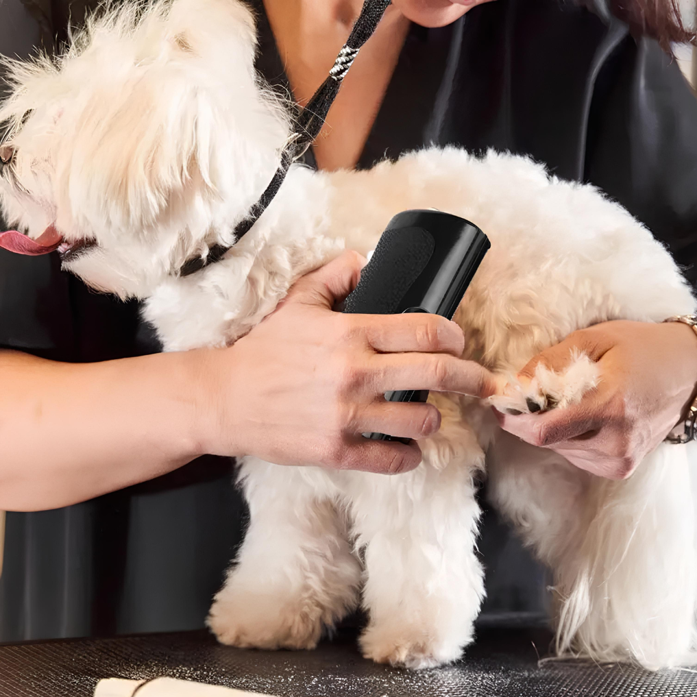 Brosse de toilettage Lirox - La Meilleur Vente