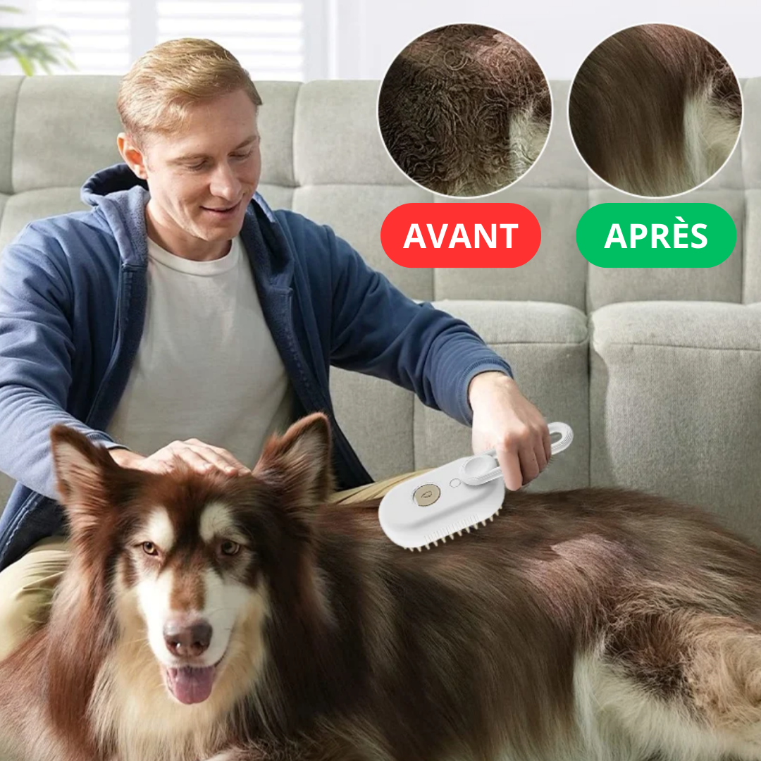 Dites adieu aux nœuds et poils emmêlés avec la brosse vapeur BeauPoil !