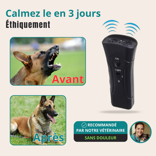 Fini les Aboiements Incessants – La Solution Douce et Immédiate pour Calmer Votre Chien