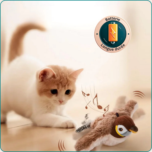 Flying Bird - Le jouet interactif qui transforme le jeu de votre chat
