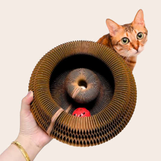 Chacrobat™ – Le Jeu Révolutionnaire Qui Rend Ton Chat Actif et Heureux