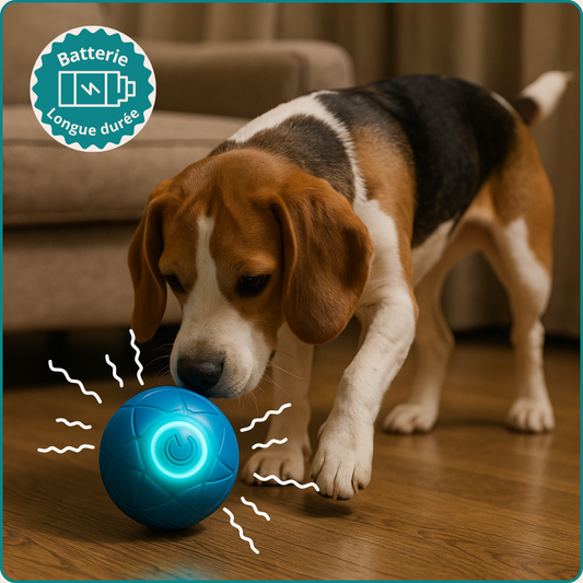 VibraBall™ - La balle interactive qui rend ton chien fou de joie !