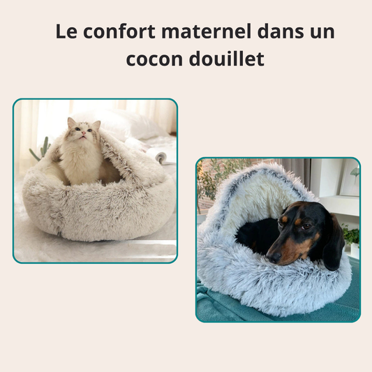 Cozy Bed - Le lit Anti-Stress que votre meilleur ami ne quittera plus