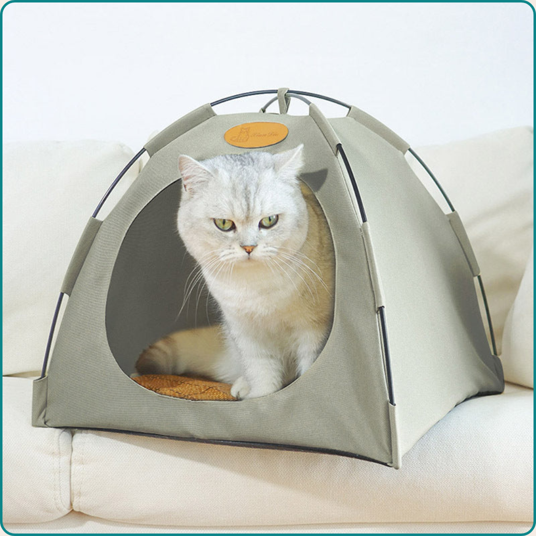 Tente rafraîchissante pour chats haut de gamme