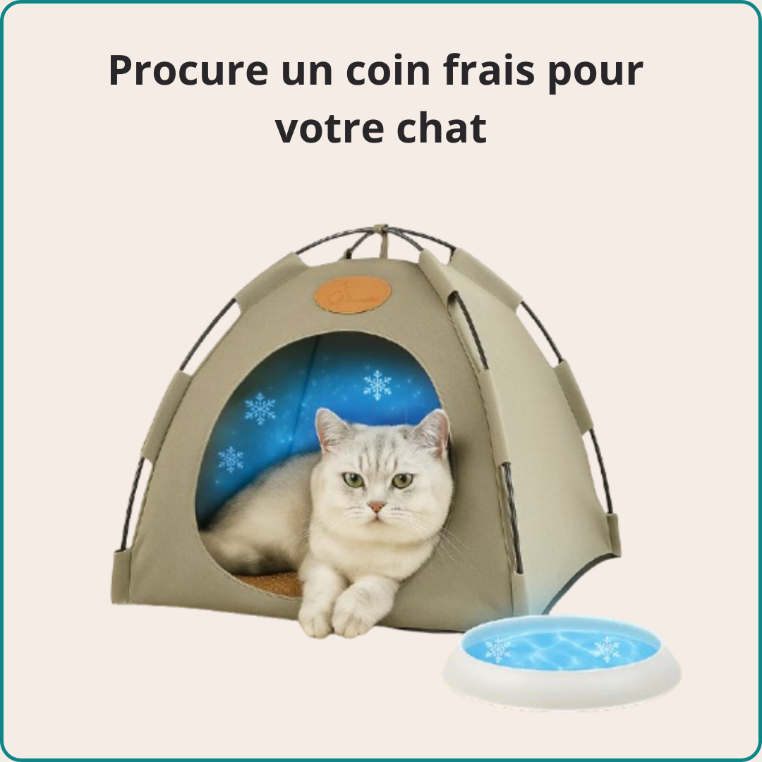 Tente rafraîchissante pour chats haut de gamme