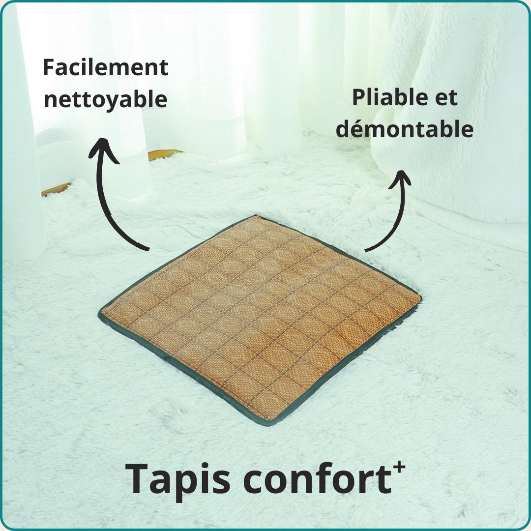 Tente rafraîchissante pour chats haut de gamme