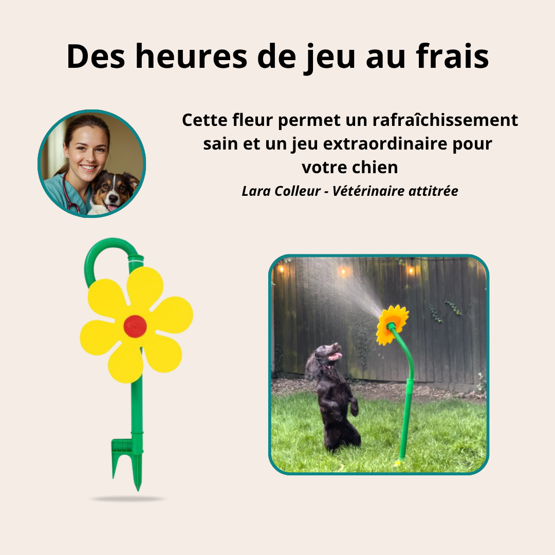 Elle va rendre ton chien fou de joie (et toi, mort de rire) !