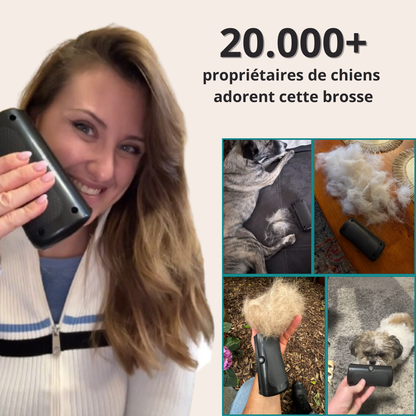 Brosse de toilettage Lirox - La Meilleur Vente