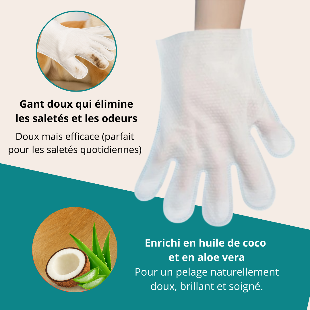 Gants nettoyants Lirox