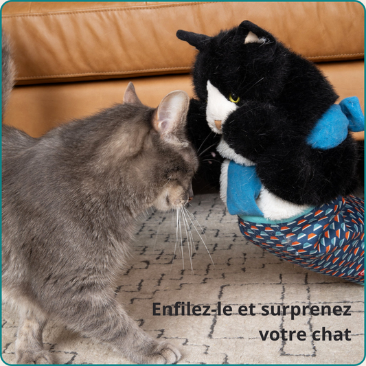 Le Chatcheur™ – La marionnette anti‑griffures pour chats fous de jeu