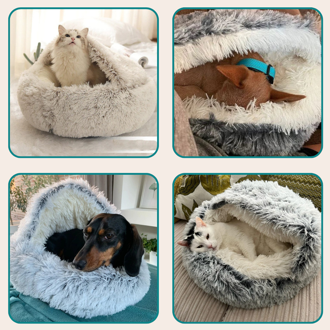 Cozy Bed - Le lit Anti-Stress que votre meilleur ami ne quittera plus