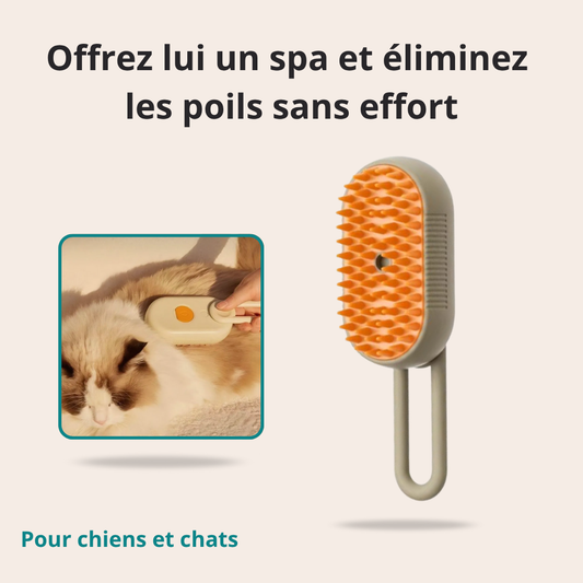 Dites adieu aux nœuds et poils emmêlés avec la brosse vapeur BeauPoil !