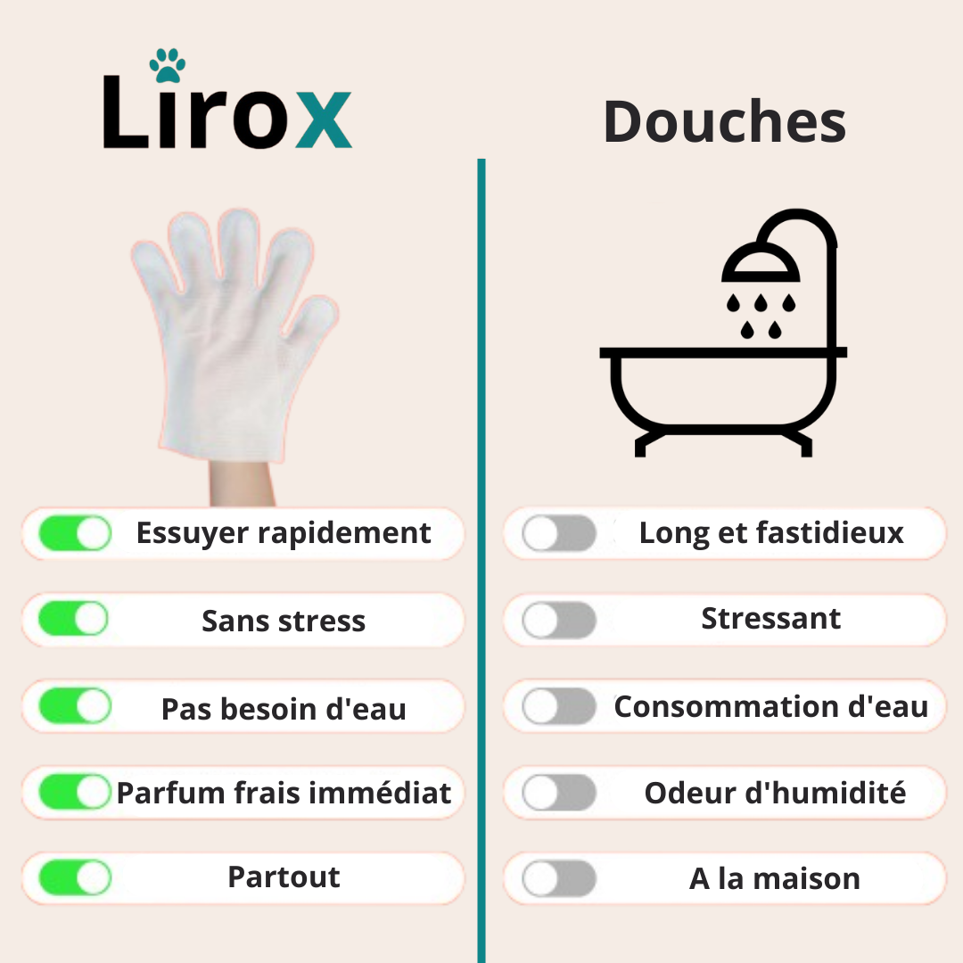 Gants nettoyants Lirox