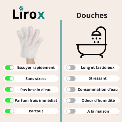 Gants nettoyants Lirox