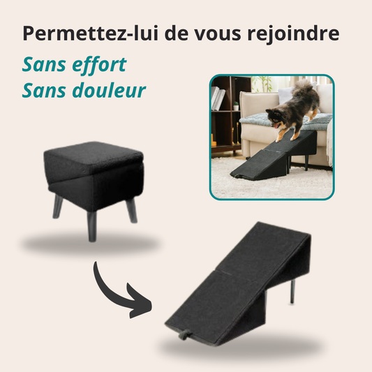 Rampe convertible pour chien - Fini les bonds risqués, place au confort malin !