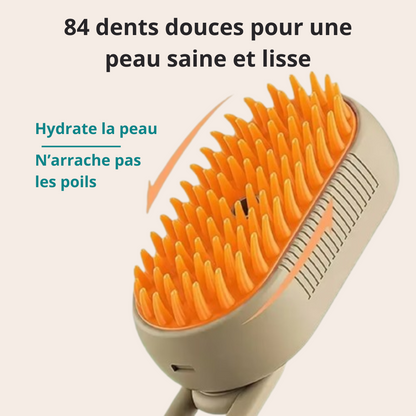 Dites adieu aux nœuds et poils emmêlés avec la brosse vapeur BeauPoil !