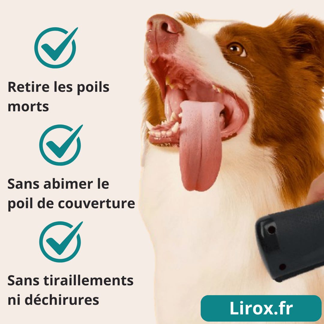 Brosse de toilettage Lirox - La Meilleur Vente