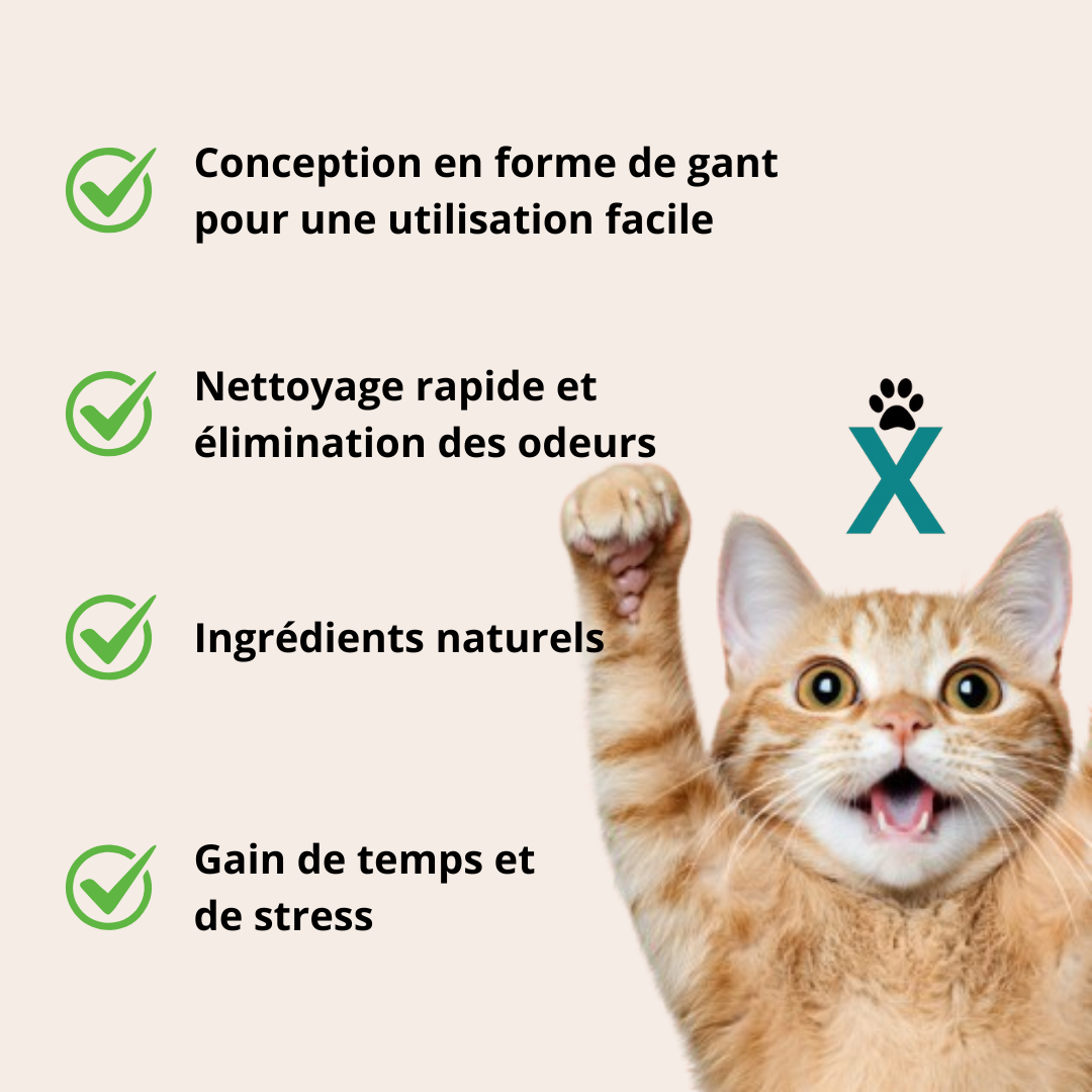 Gants nettoyants Lirox