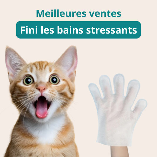 Gants nettoyants Lirox