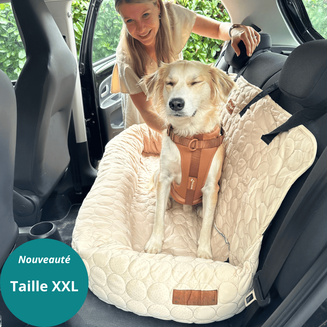 Lit de voiture rafraîchissant comfocool™