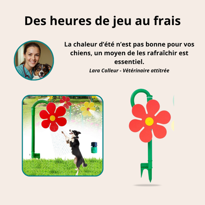 Elle va rendre ton chien fou de joie (et toi, mort de rire) !