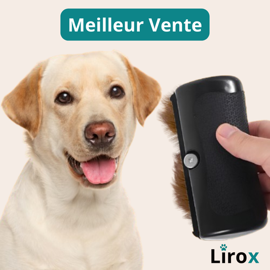 Brosse de toilettage Lirox - La Meilleur Vente