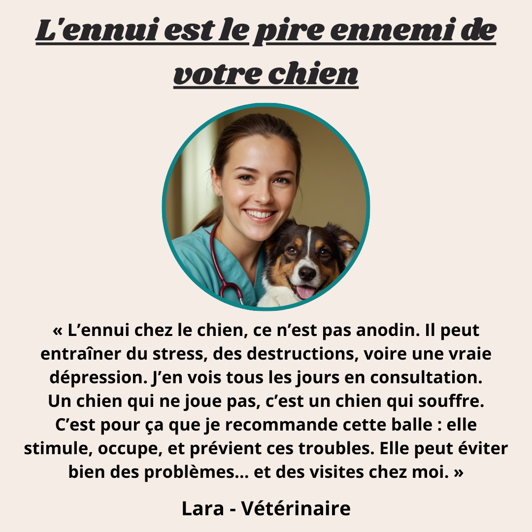 VibraBall™ - La balle interactive qui rend ton chien fou de joie !