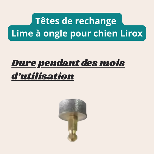 Tête de rechange pour la lime à ongle pour chien