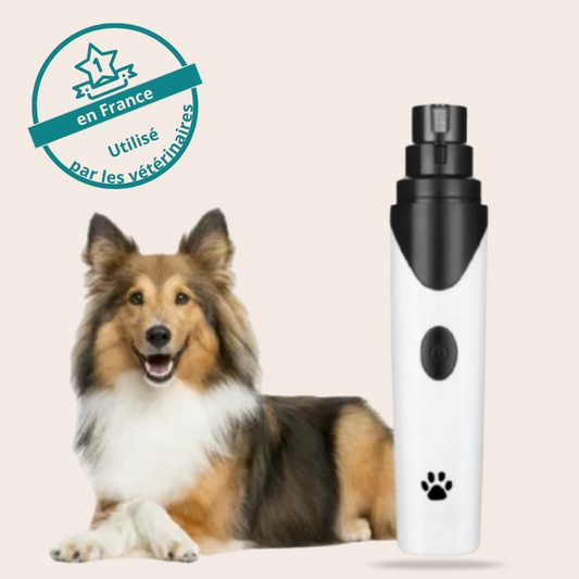 Lime à ongles électrique pour chiens - Griffe
