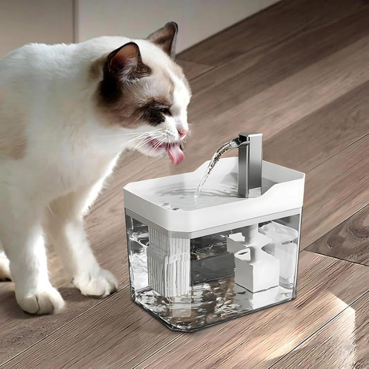 AquaDrink - Fontaine à eau filtrante pour une eau fraîche et saine