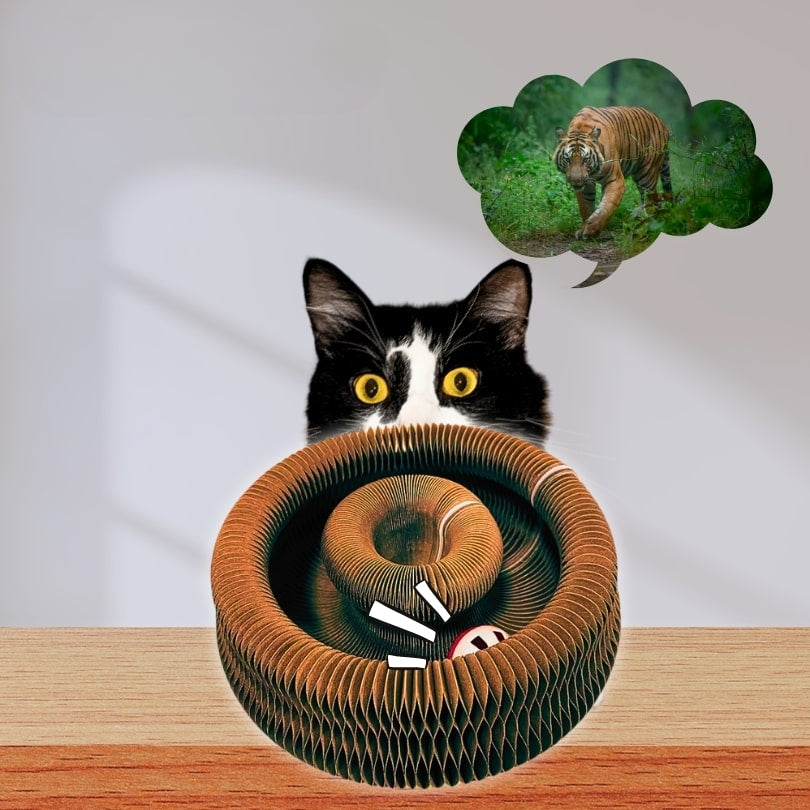 Chacrobat™ – Le Jeu Révolutionnaire Qui Rend Ton Chat Actif et Heureux