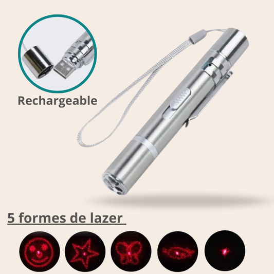 Jeu de Lazer pour chats multiforme rechargeable